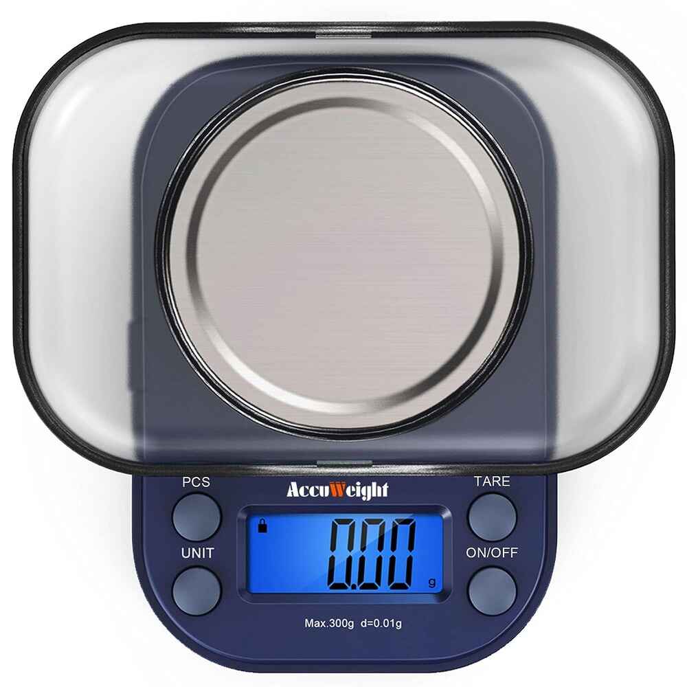 Portable Scale 300g