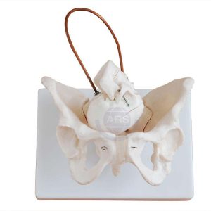 XC-127 Birth Demonstration Model