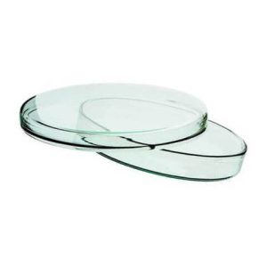 Glass Petri Dish 120 mm Germany