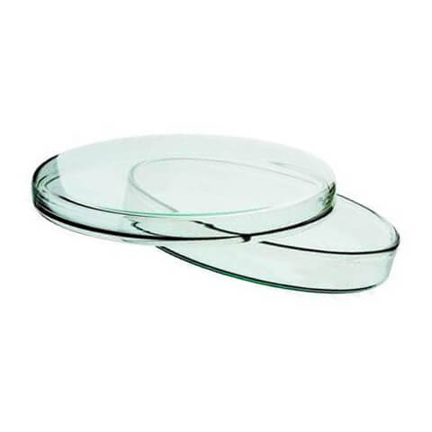 Glass Petri Dish 120 mm Germany – High Quality Borosilicate Laboratory Glassware