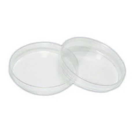 Polylab Petri Dish 150 mm (17104) – High-Quality Laboratory Culture Dish